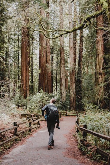 Travel discovery